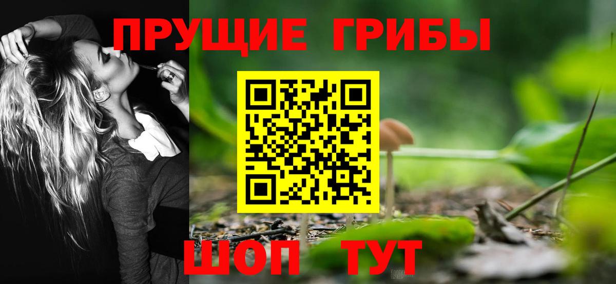 Галлюциногенные грибы Psilocybine cubensis Калач-на-Дону